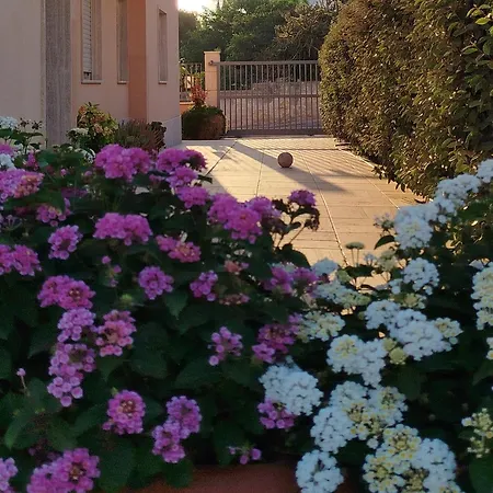 Апартаменты Profumo Di Mare 2