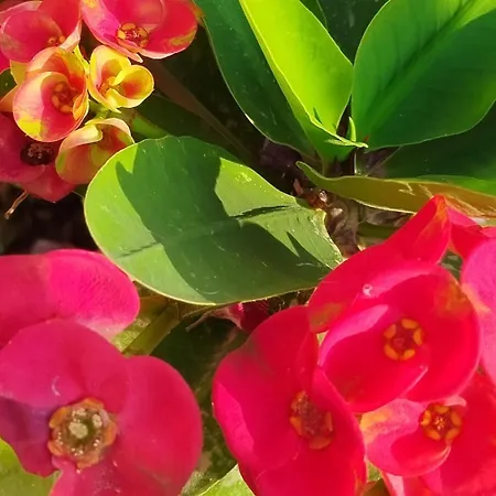 Profumo Di Mare 2 * Алькамо-Марина