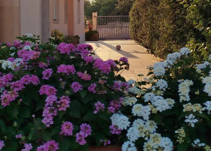 公寓 Profumo Di Mare 2