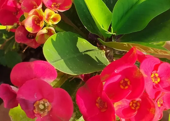 Profumo Di Mare 2 * 阿尔卡莫马里纳